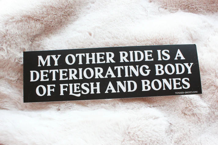 My Other Ride Bumper Sticker