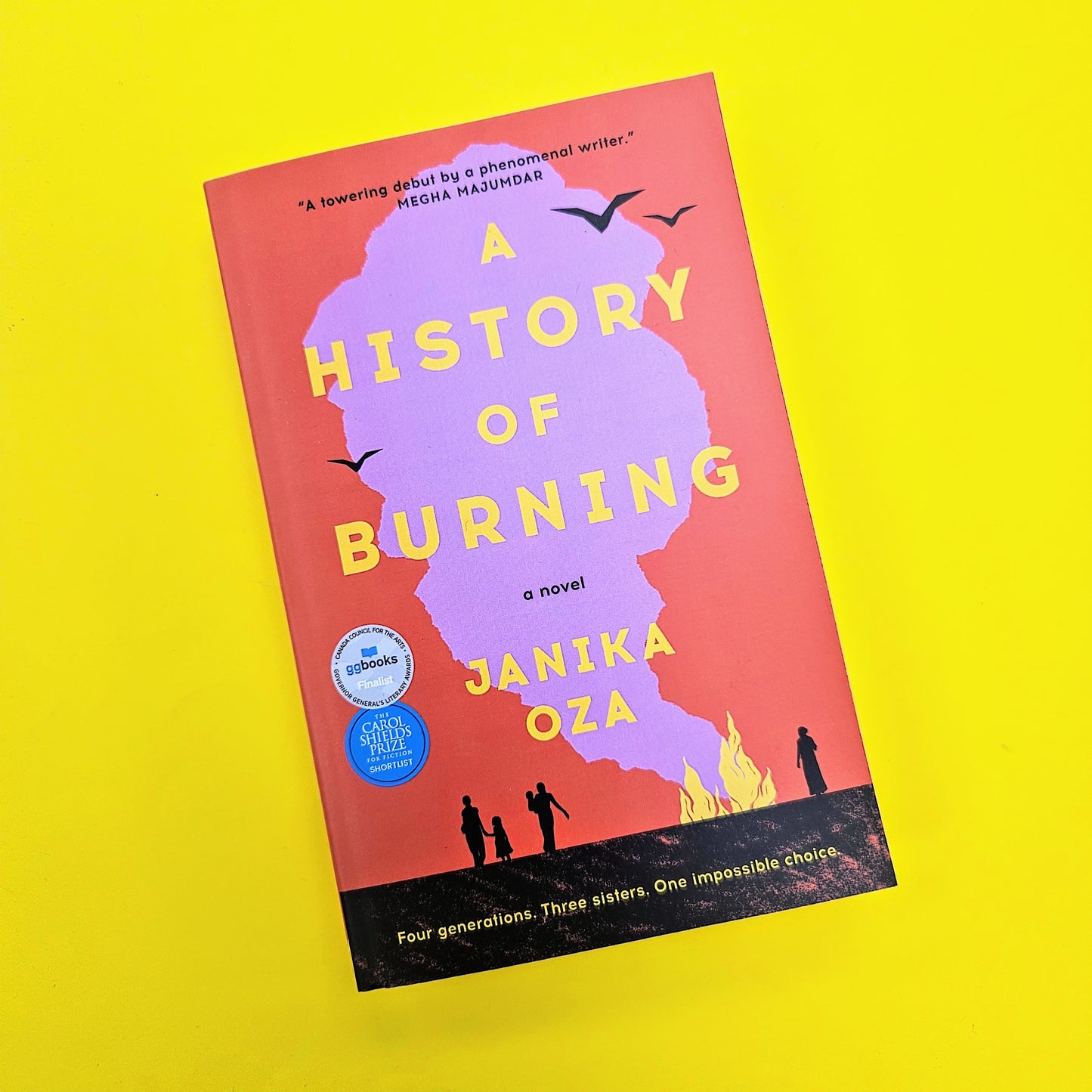 A History of Burning (Softcover)