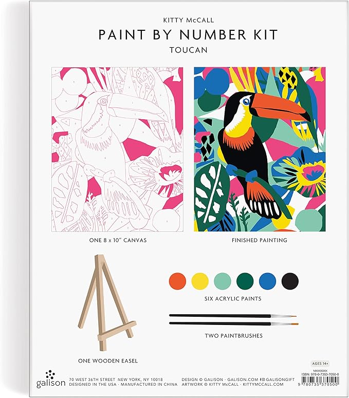 Kitty McCall Toucan Paint By Number Kit