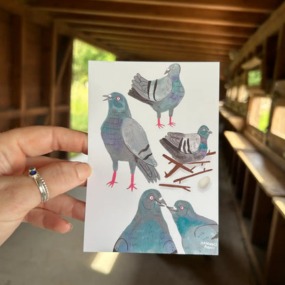 Pigeon Pals Illustration A6 Postcard