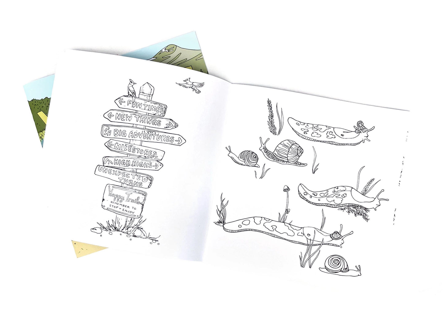 Wild Life Colouring Book - Camp