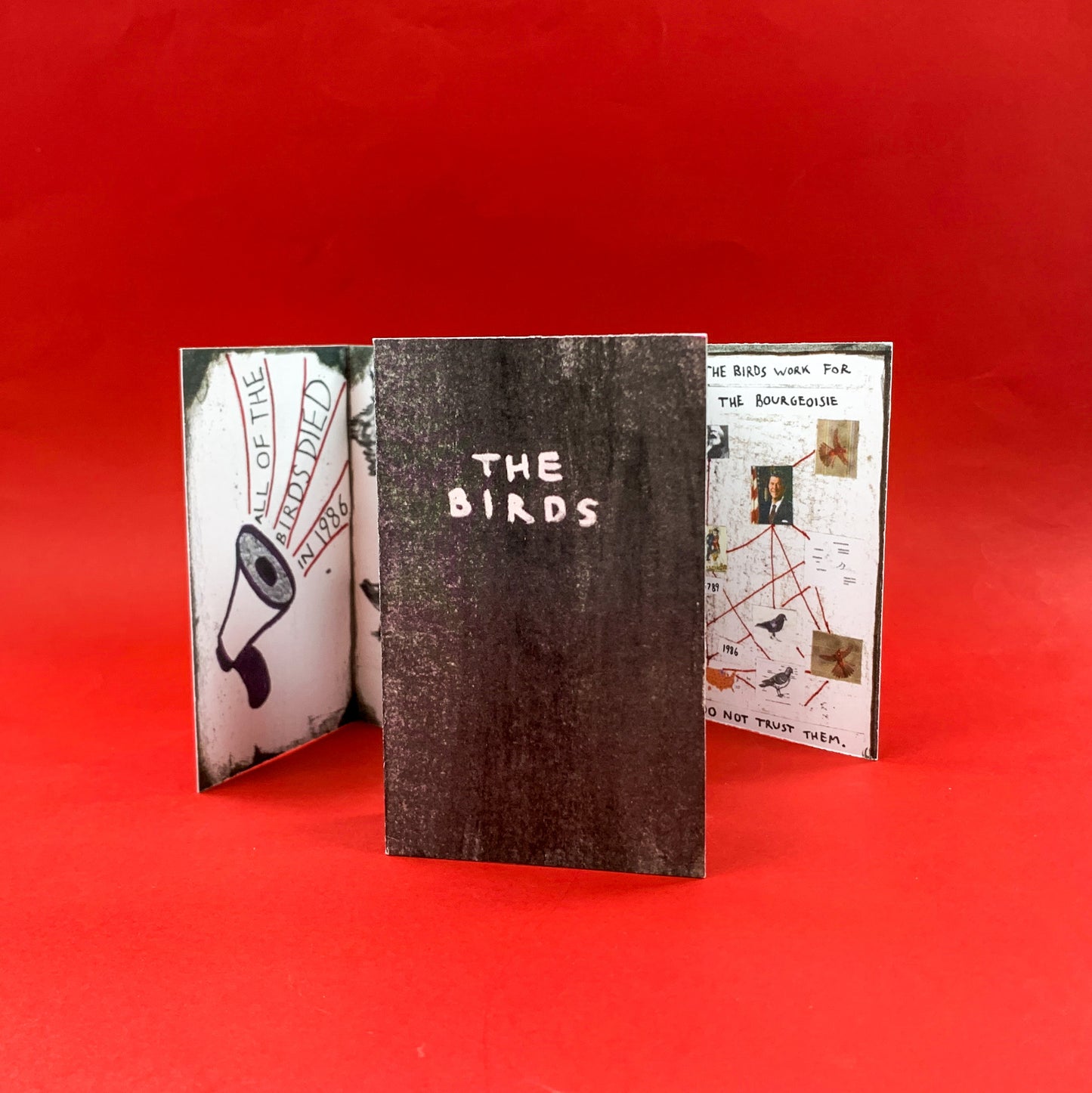 The Birds Zine