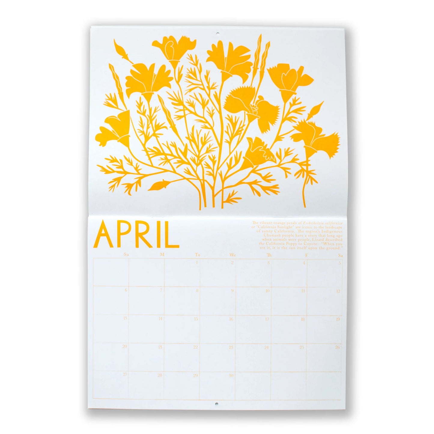 2025 Drought Tolerant Plants Calendar