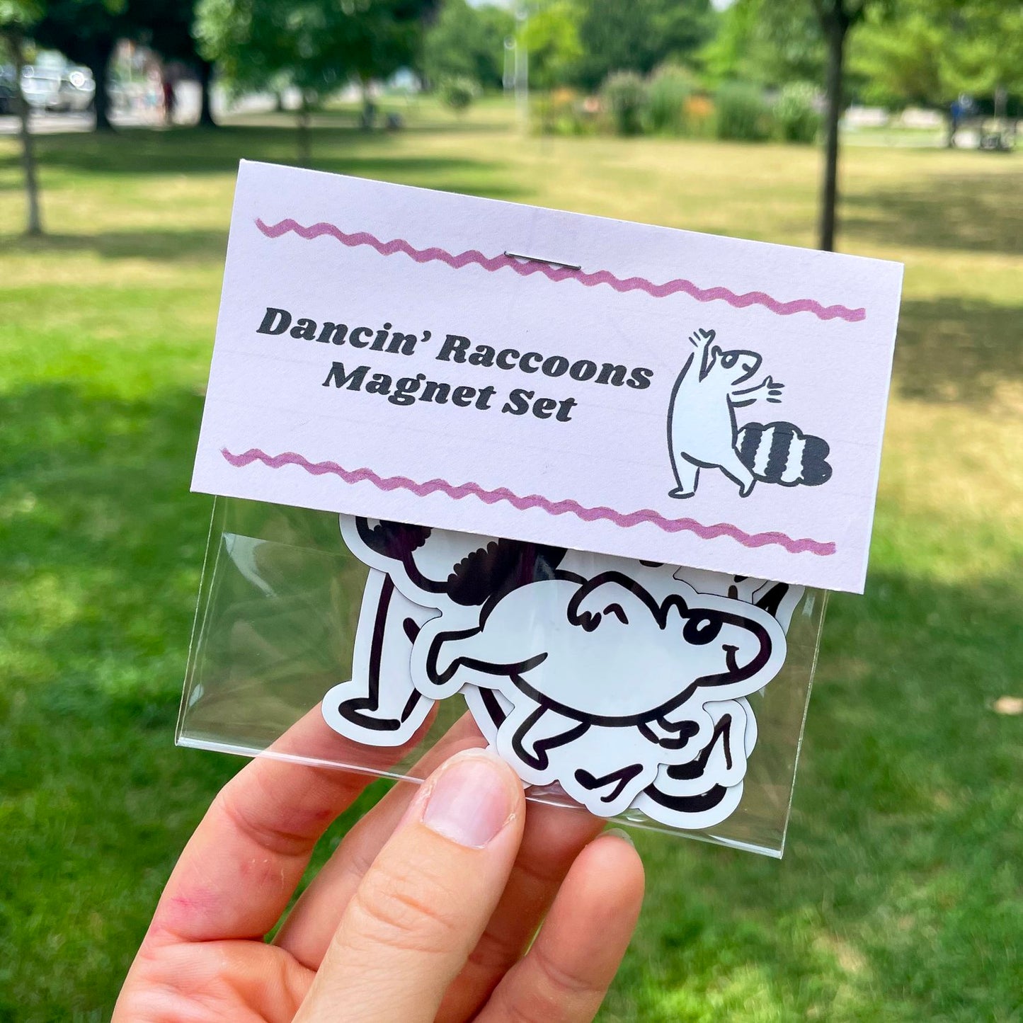 Dancin' Raccoons Magnet Pack