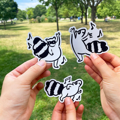 Dancin' Raccoons Magnet Pack