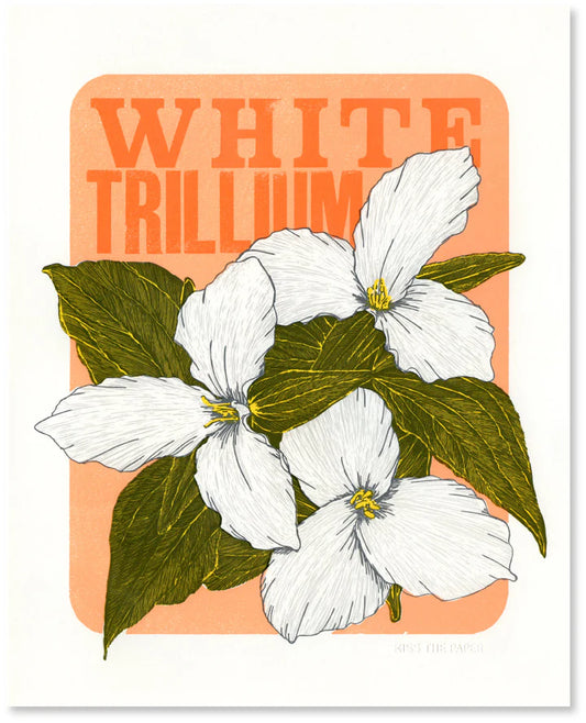 White Trillium Letterpress Print