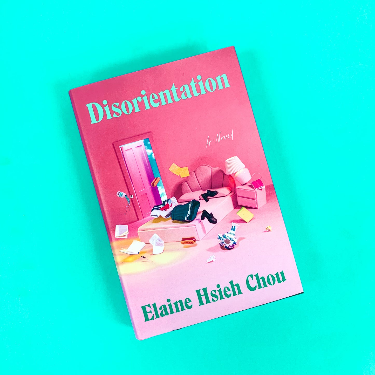 Disorientation: A Novel